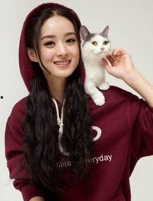 娱乐爆料热点赵丽颖,娱乐圈再掀波澜  第2张